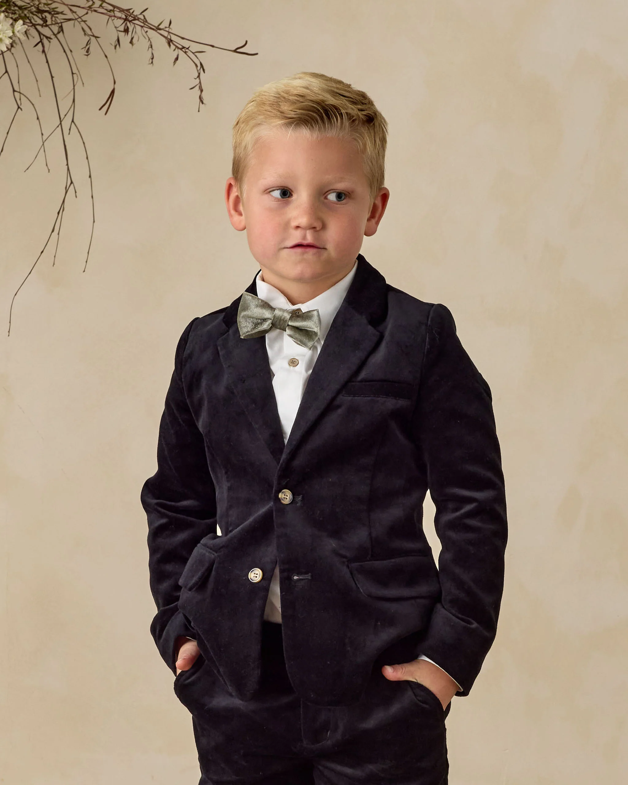 Bow Tie Pine - Image 3
