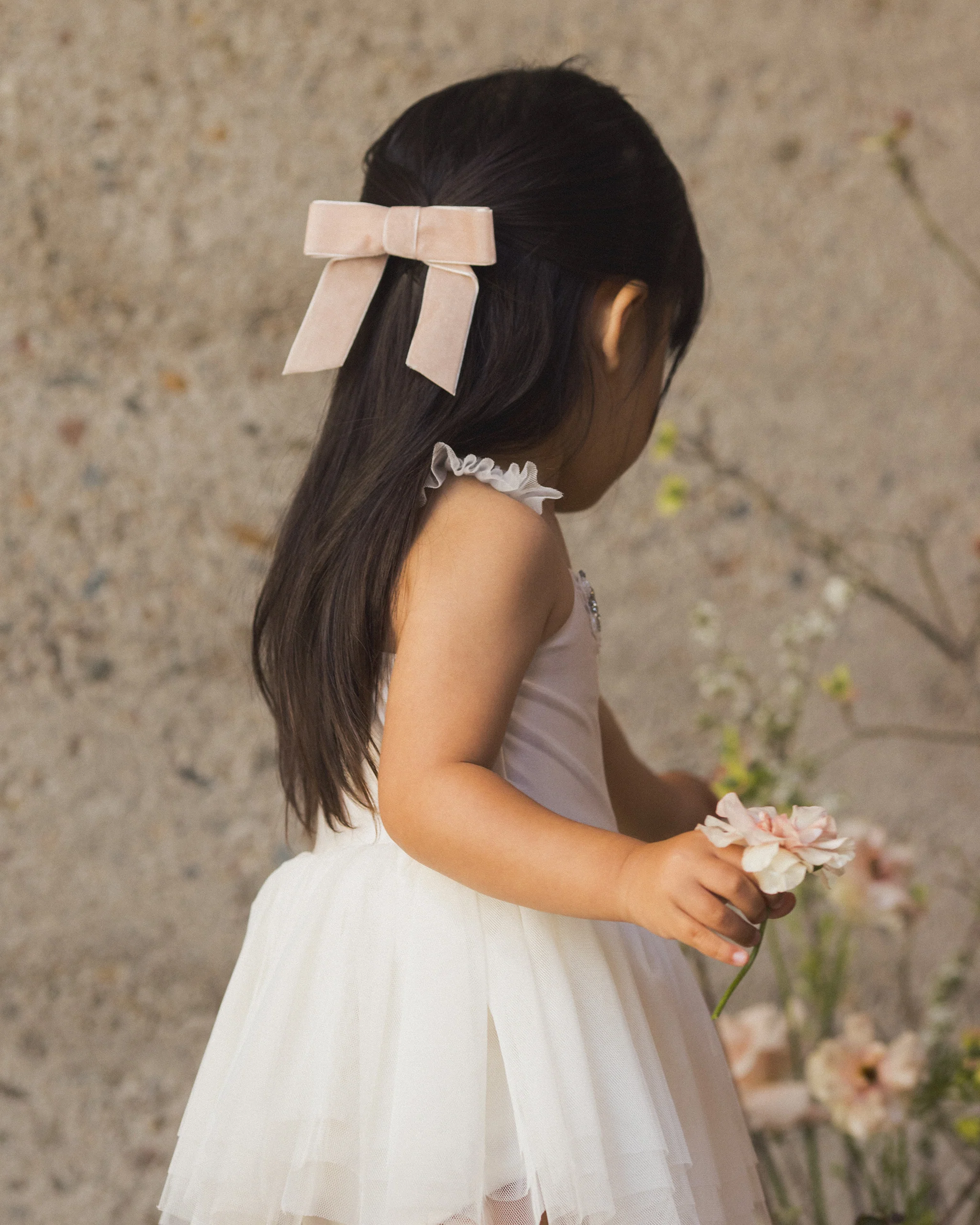 Velvet Bow Rose - Image 4